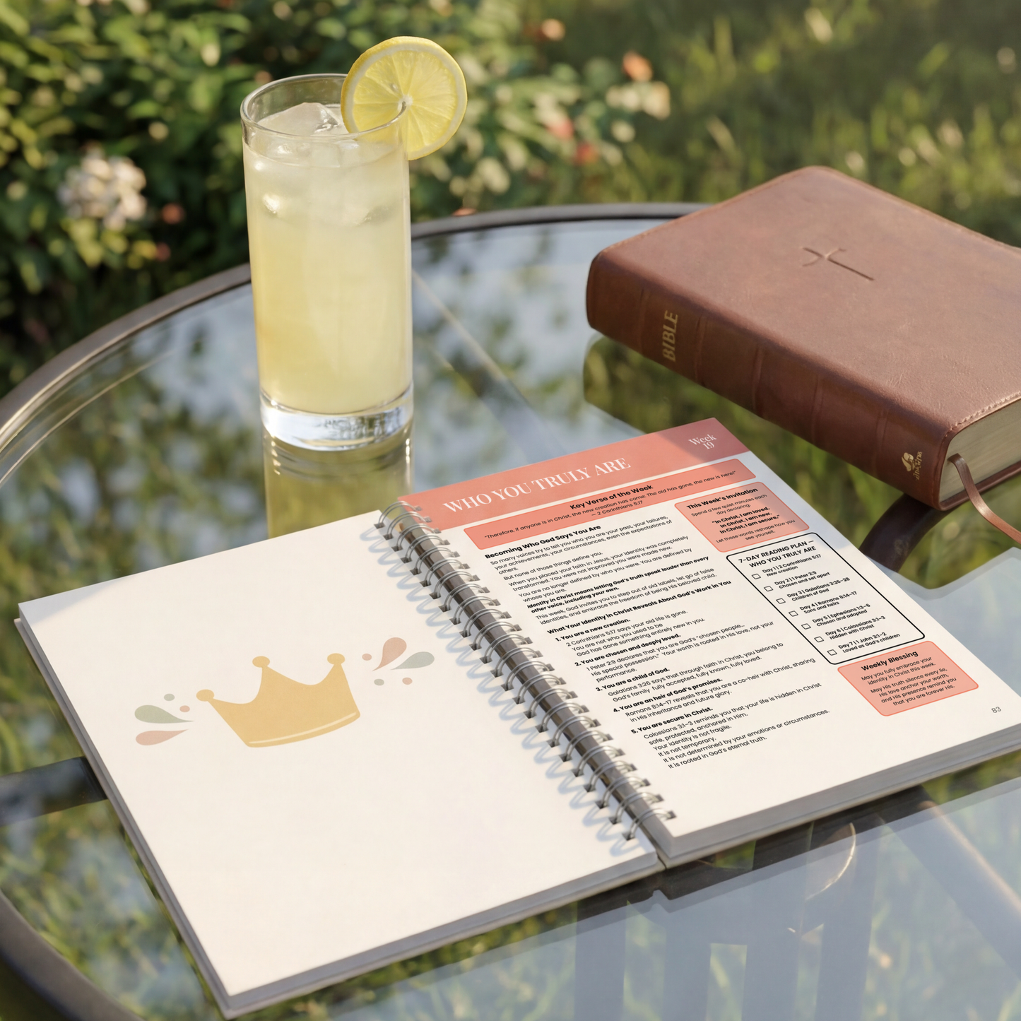 The Bible in One Year – 52-Week Guided Study Bible